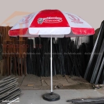 Dù che nắng quảng cáo