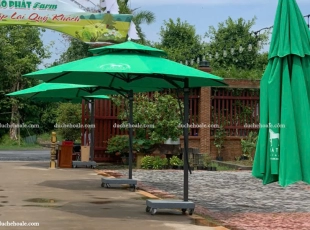 Dù lệch tâm tròn tại Hào Phát Farm (Sa Đéc, Đồng Tháp)