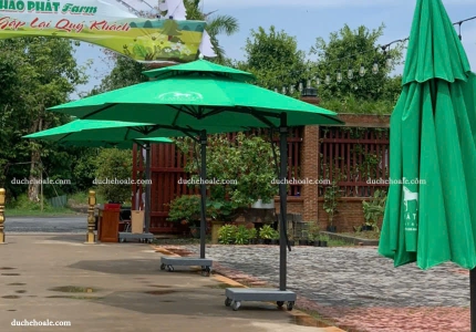 Lắp đặt dù lệch tâm tròn tại Hào Phát Farm (Sa Đéc, Đồng Tháp)